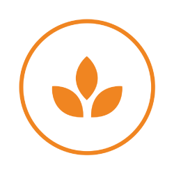 An orange circle containing an orange graphic of a plant.