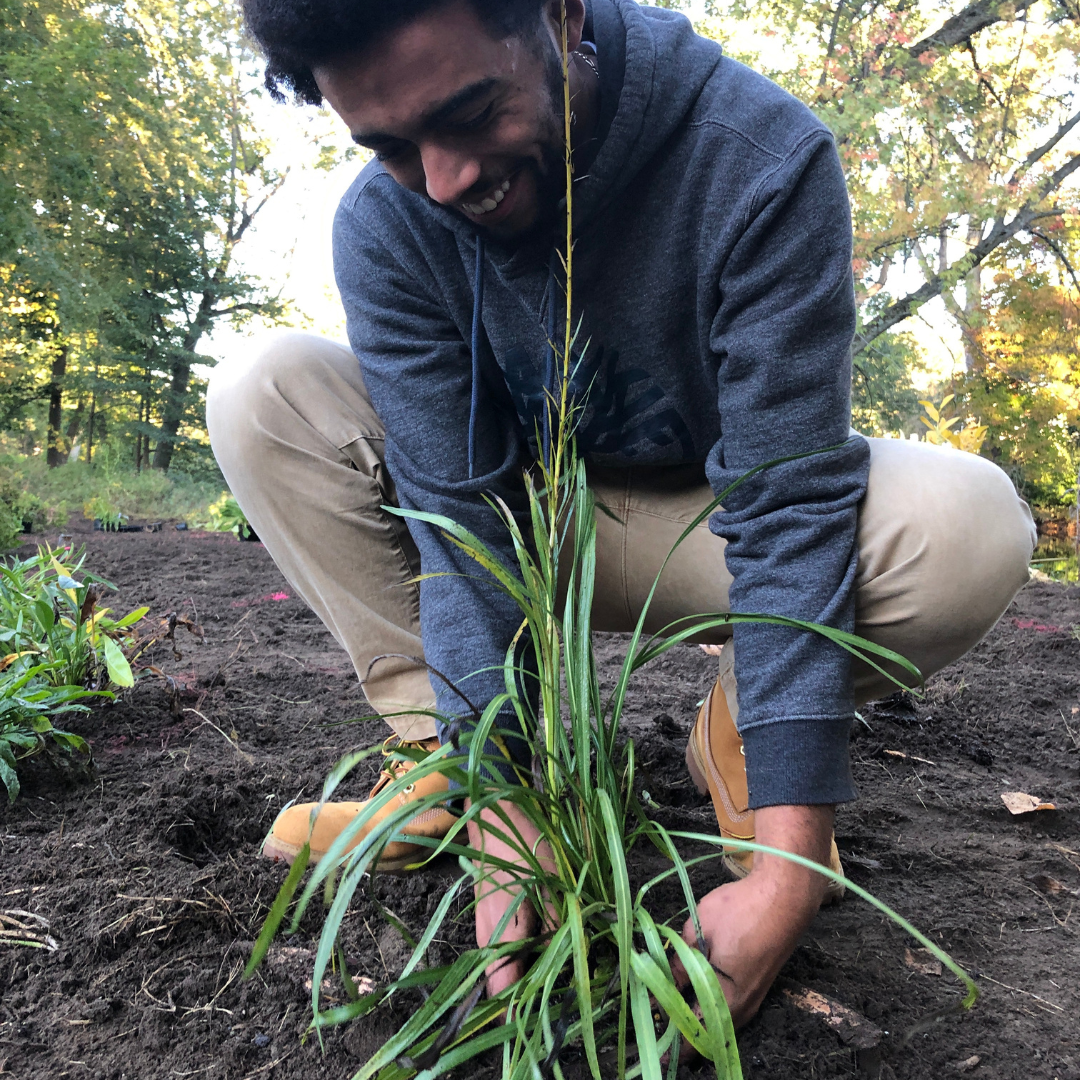 Student planting in a garden