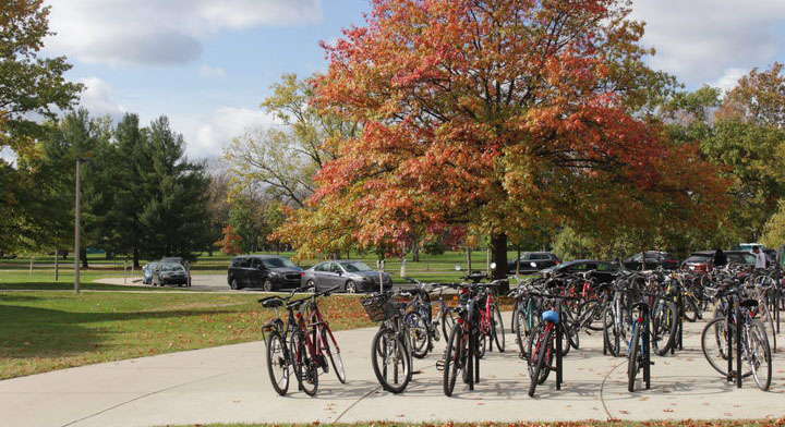 A photo of a well-populated bike rack in front of a large tree full of fall colors.