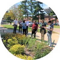 Faculty and staff look at a pollinator garden.