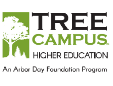 Tree Higher Campus Education 