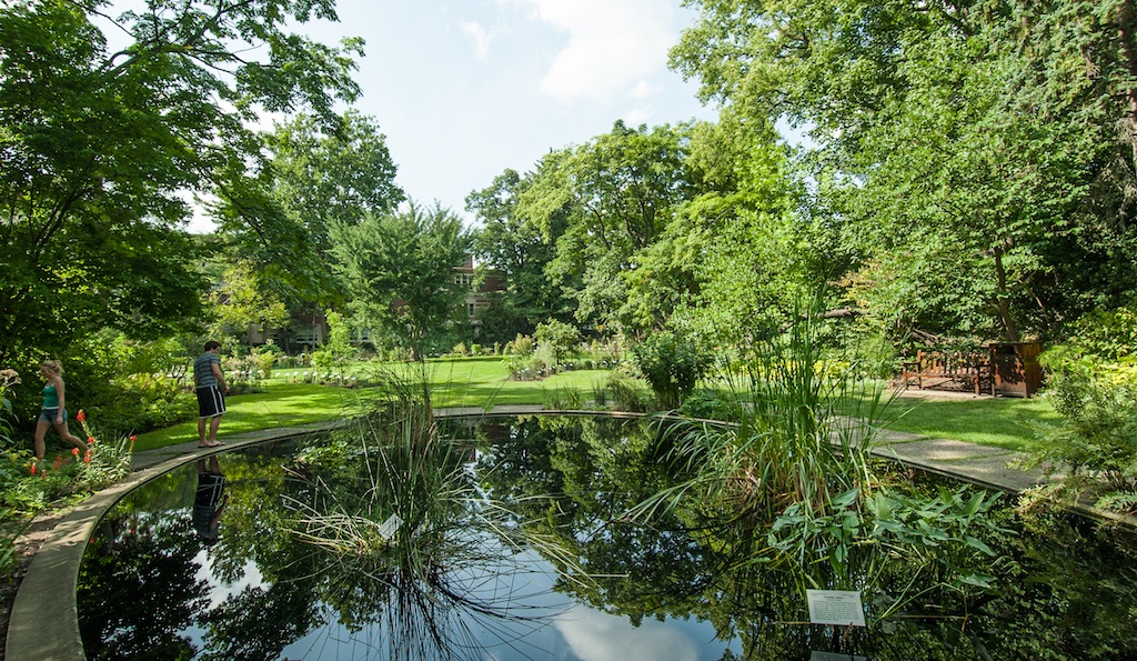 Photo of pond at Beal Garden