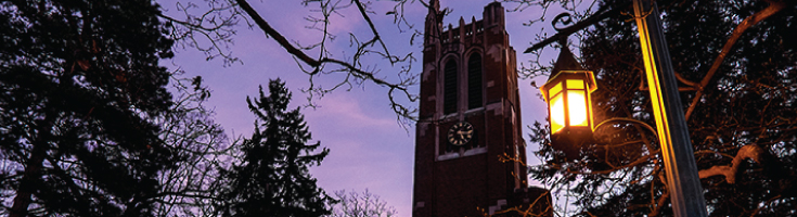 A picture of Beaumont Tower at twilight surrounded by trees; a street lamp lights the frame.