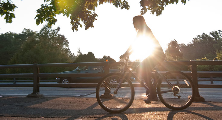 A photo of a student riding a bike down MSU's Farm Lane.
