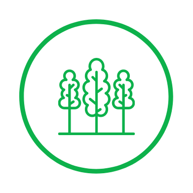 Trees Icon